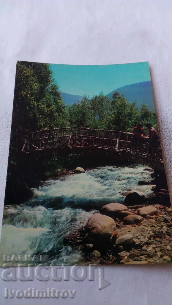 Carte poștală Stanke Dimitrov Podul din Parcul Rila 1968