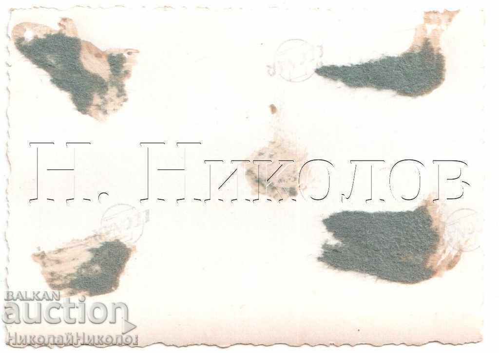 ΜΙΚΡΗ ΠΑΛΙΑ ΦΩΤΟ ΙΣΤΟΡΙΑ ΑΚΟΛΟΥΘΩΝ Β216 με τιμή 2.00 BGN | € 1.02 ΜΙΚΡΗ ΠΑΛΙΑ ΦΩΤΟ ΙΣΤΟΡΙΑ ΑΚΟΛΟΥΘΩΝ Β216 με τιμή 2.00 BGN | € 1.02