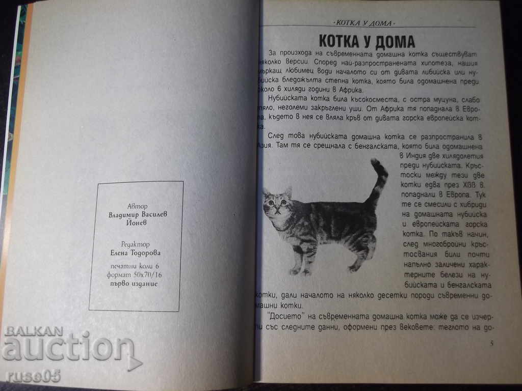 Auction The book "Cat at home - Vladimir Yonev" - 96 p. Auction The book "Cat at home - Vladimir Yonev" - 96 p.
