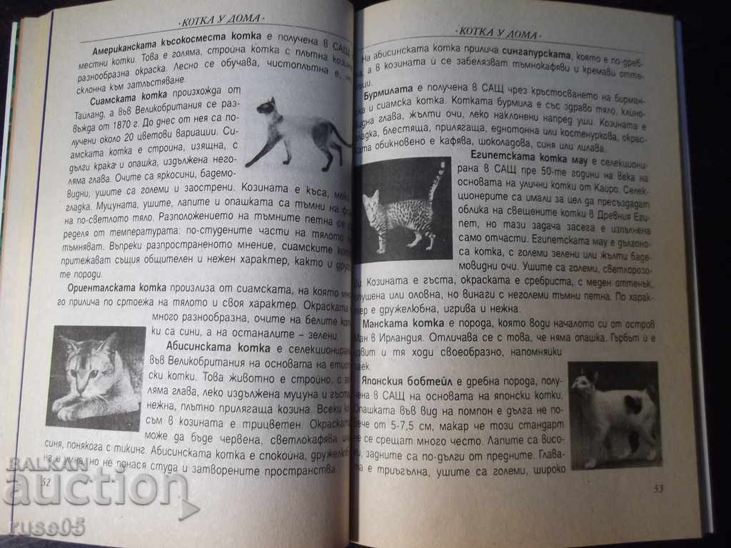 The book "Cat at home - Vladimir Yonev" - 96 p. - 5 The book "Cat at home - Vladimir Yonev" - 96 p. - 5