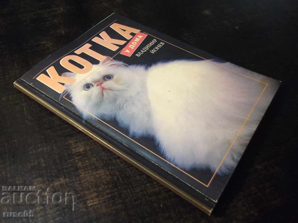 The book "Cat at home - Vladimir Yonev" - 96 p. - 7 The book "Cat at home - Vladimir Yonev" - 96 p. - 7