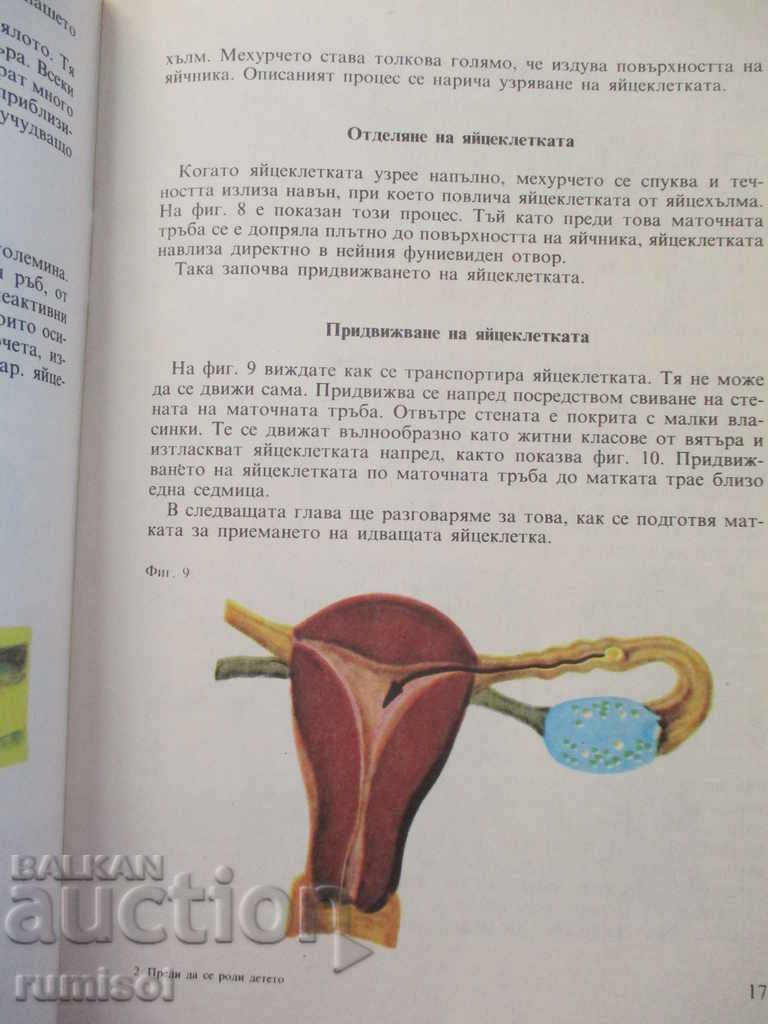 Before the child was born - Heinrich Bruckner with price 0.79 BGN | € 0.40 Before the child was born - Heinrich Bruckner with price 0.79 BGN | € 0.40