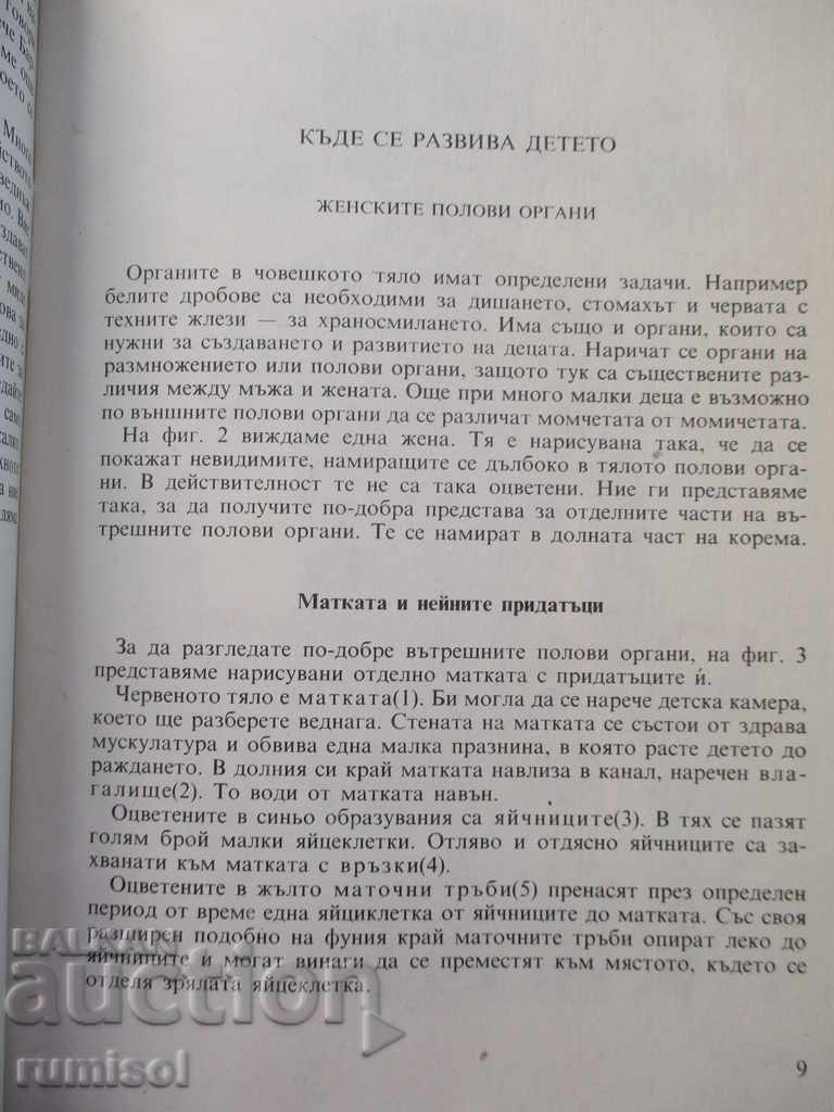 Auction Before the child was born - Heinrich Bruckner Auction Before the child was born - Heinrich Bruckner