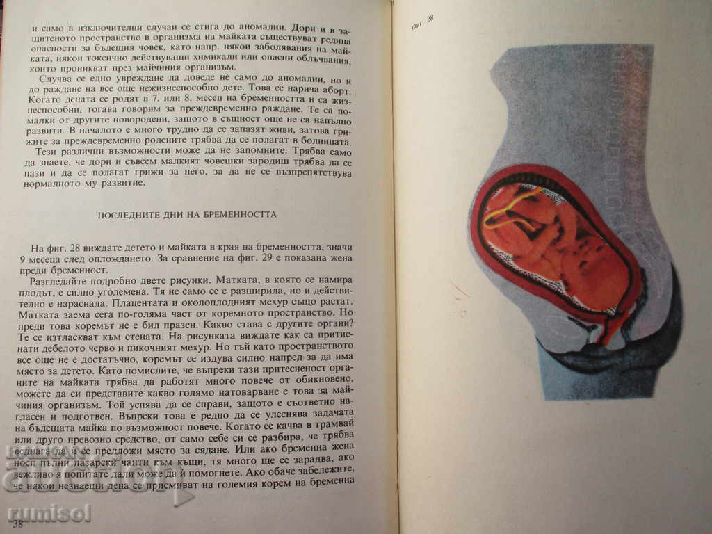 Delivery of Before the child was born - Heinrich Bruckner