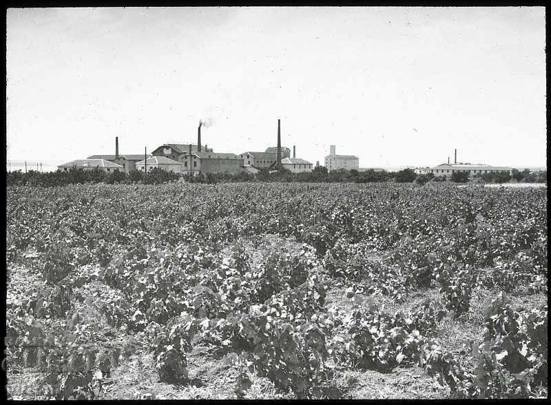 Fotografie fabrica de ciocolată din Burgas 1930 lamă de sticlă