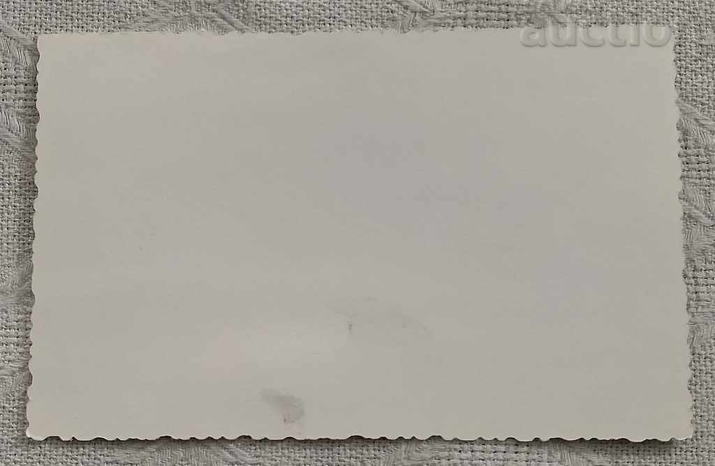 VIG "APOLLO" COMPOSITION MUSICIANS 197 .. with price 7.00 BGN | € 3.58 VIG "APOLLO" COMPOSITION MUSICIANS 197 .. with price 7.00 BGN | € 3.58