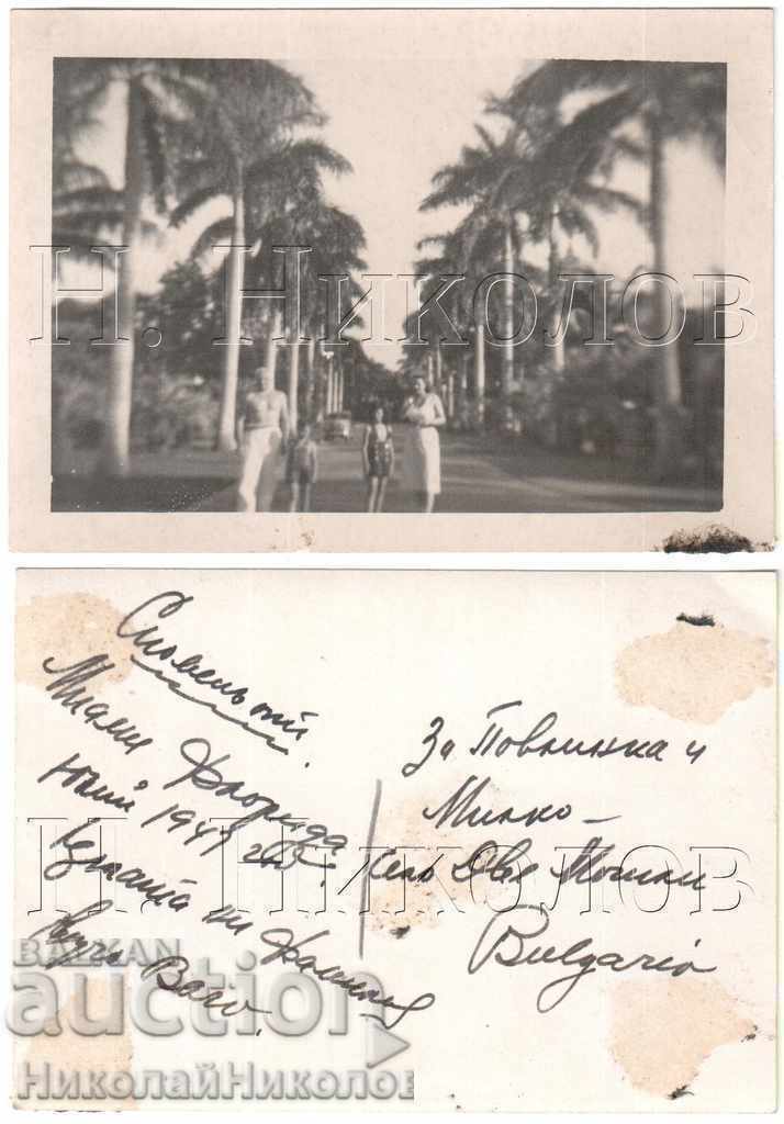 1950 LOT 5x OLD PICTURES EMIGRANTS IN THE USA UP TO TWO MUNICIPALITIES B231 - 7