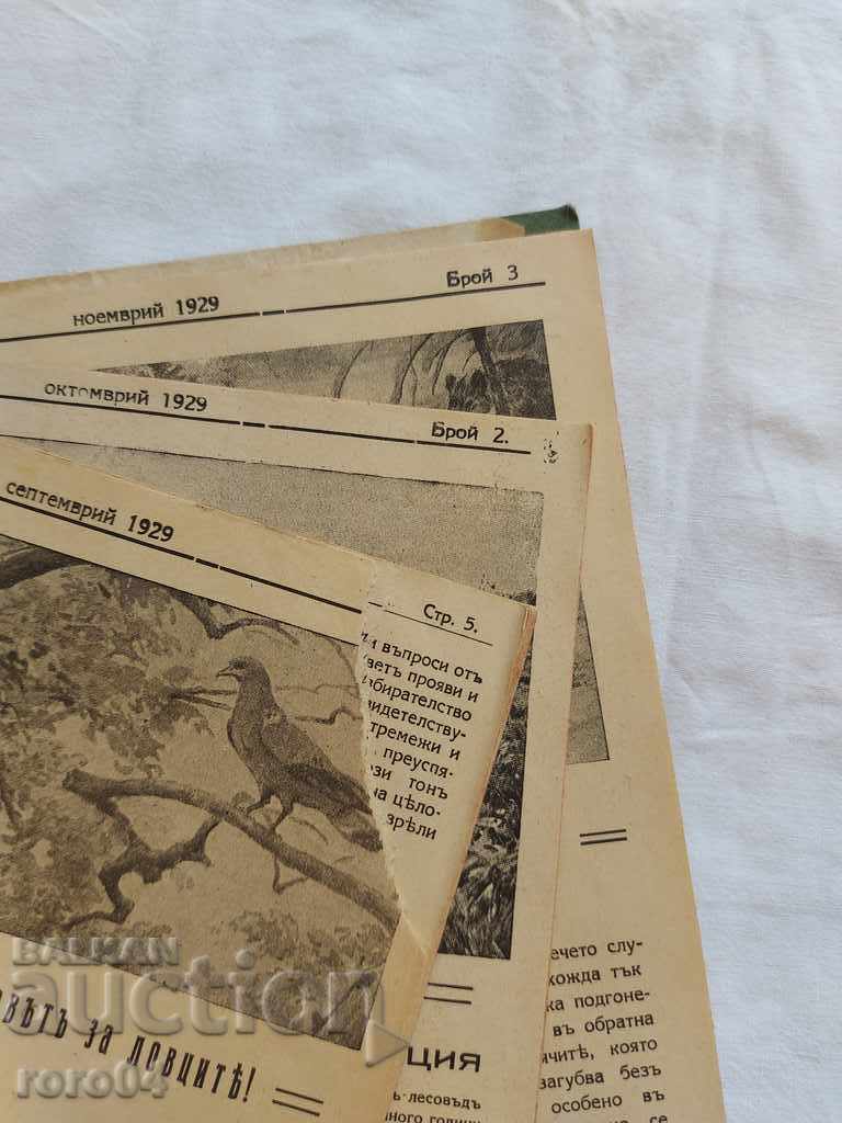 Auction HUNTER - 1929 Auction HUNTER - 1929