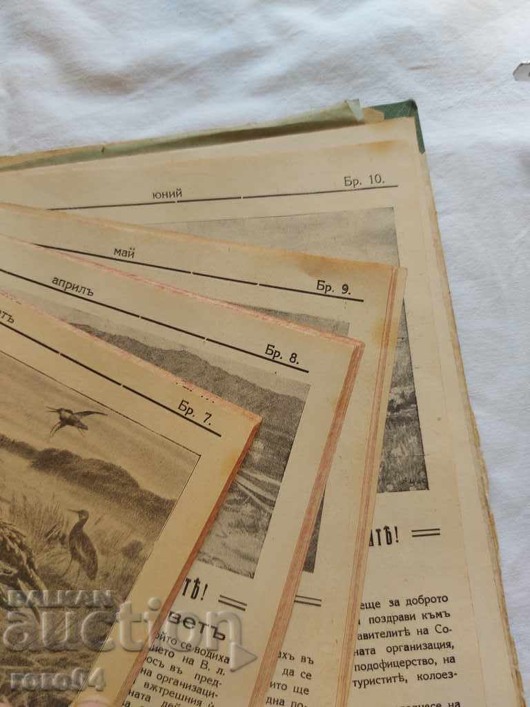 HUNTER - 1929 - 5 HUNTER - 1929 - 5