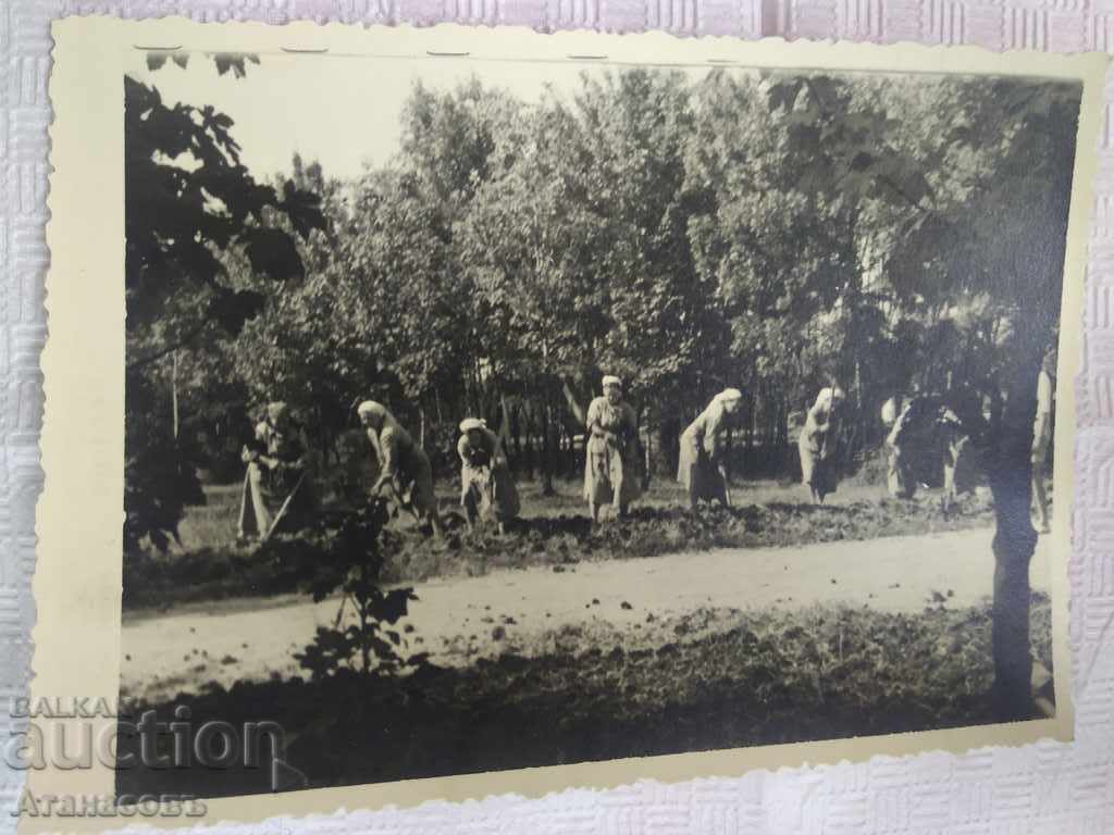 Fotografie Sofia Construcția Parcului de Vest 1955