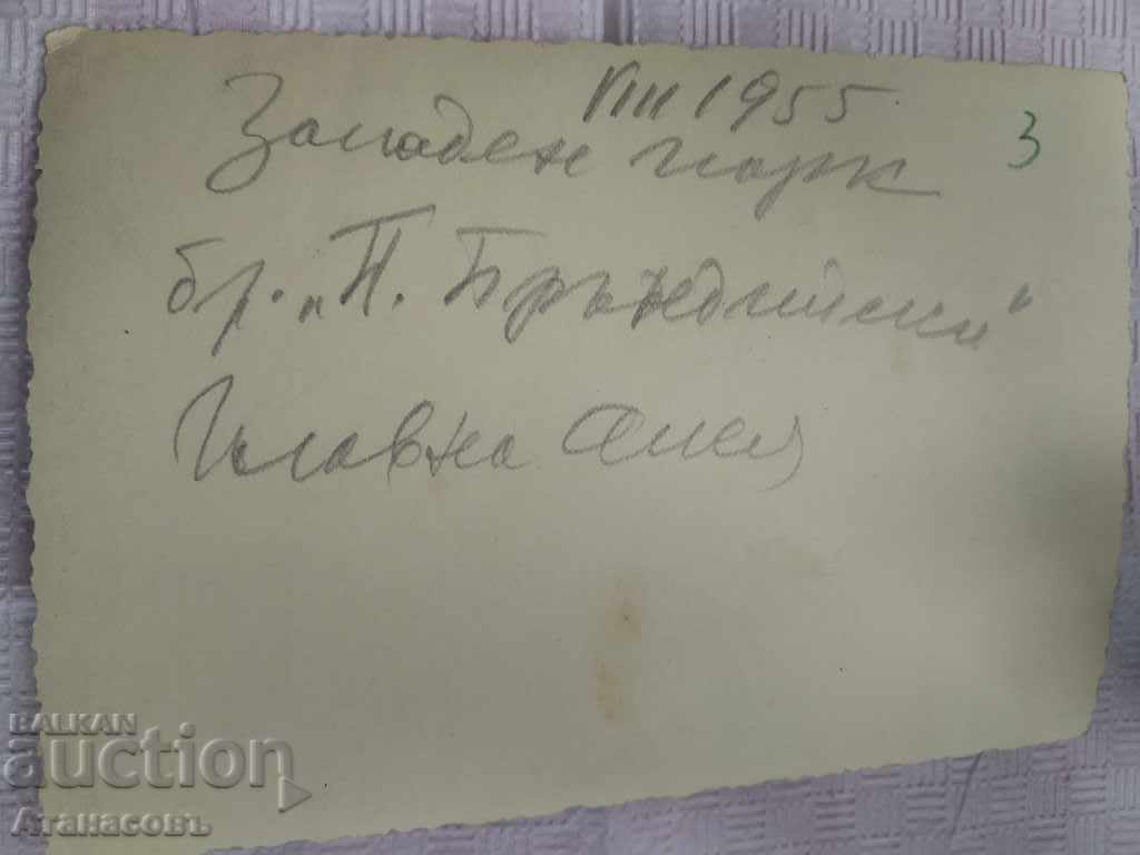 Photo Sofia Construction of West Park 1955 with price 29.99 BGN | € 15.33 Photo Sofia Construction of West Park 1955 with price 29.99 BGN | € 15.33