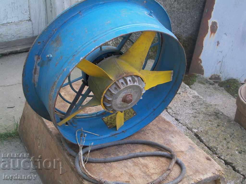 Auction Fan Auction Fan