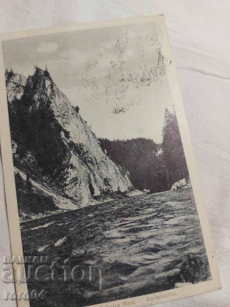 Auction VALENTINA TRANEN - P.K. Auction VALENTINA TRANEN - P.K.