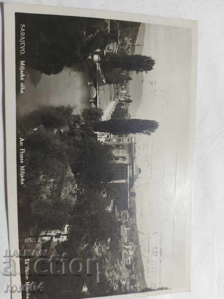 Auction VALENTINA TRANEN - P.K. Auction VALENTINA TRANEN - P.K.