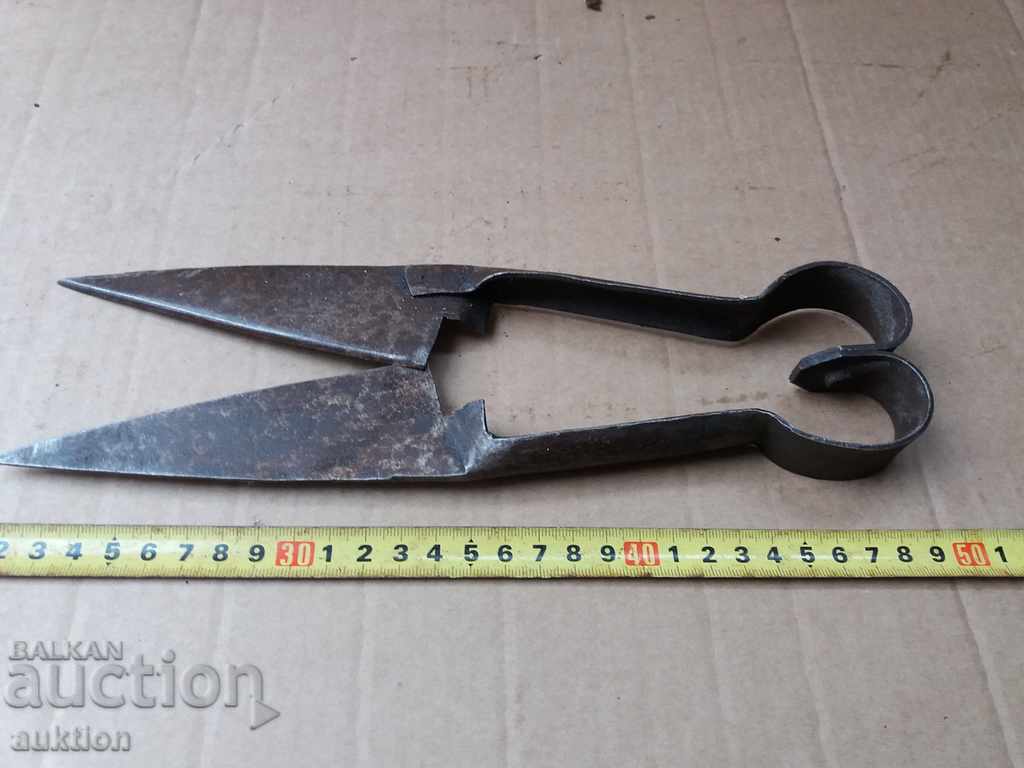 Delivery of OLD SHEEP SHEARS - EXCELLENT