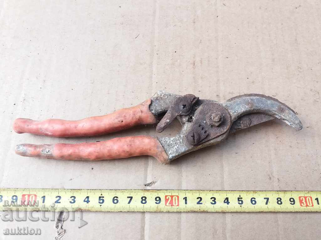 Auction  STARA VOZARNA NAGICA