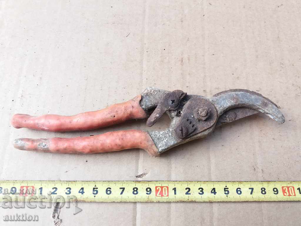 Delivery of STARA VOZARNA NAGICA