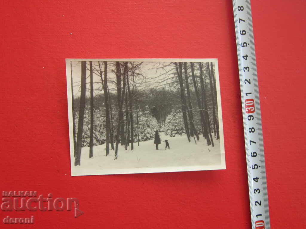 Old photo hunter 3 Reich Original 2 with price 10.00 BGN | € 5.11 Old photo hunter 3 Reich Original 2 with price 10.00 BGN | € 5.11