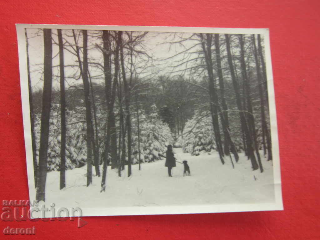 Auction Old photo hunter 3 Reich Original 2 Auction Old photo hunter 3 Reich Original 2
