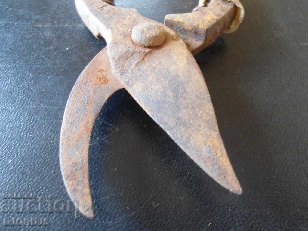Auction Old viticulture scissors Auction Old viticulture scissors
