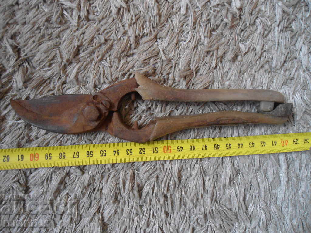 Delivery of Old viticulture scissors Delivery of Old viticulture scissors