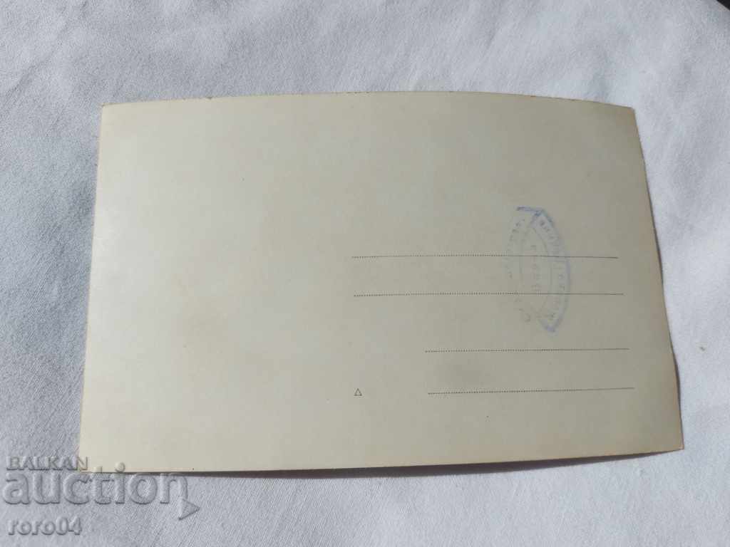 VARNA - THE SEA GARDEN - 5 VARNA - THE SEA GARDEN - 5