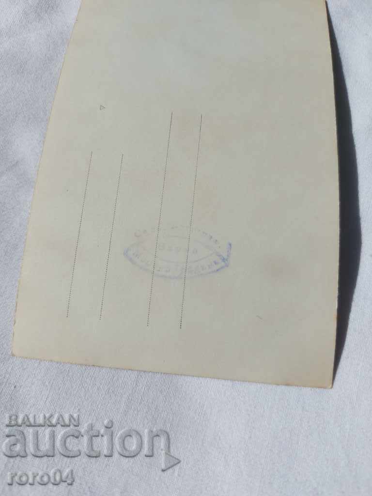 VARNA - THE SEA GARDEN - 6 VARNA - THE SEA GARDEN - 6