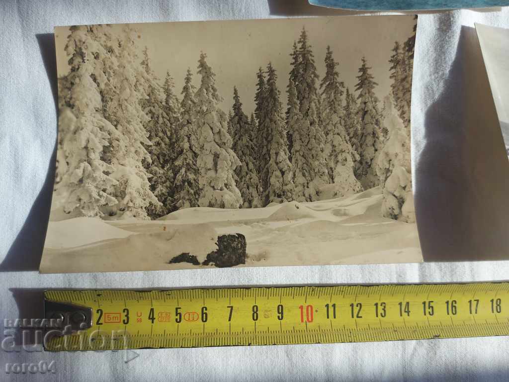 Auction POSTCARDS - 3 PIECES Auction POSTCARDS - 3 PIECES