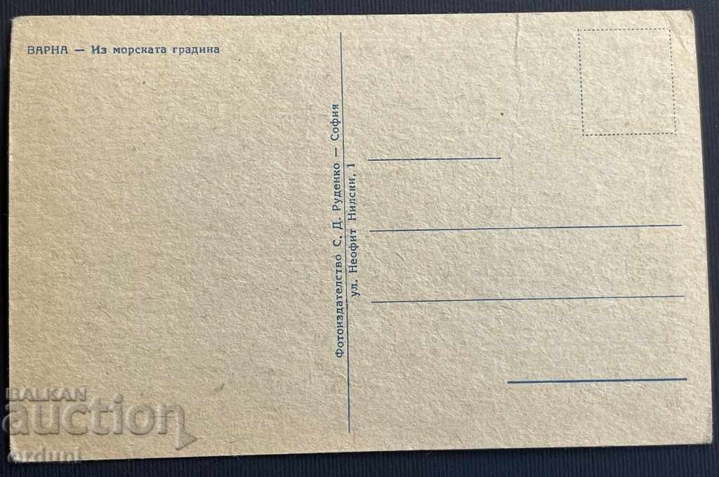 2279 Kingdom of Bulgaria Varna view sea garden 30s with price 10.00 BGN | € 5.11 2279 Kingdom of Bulgaria Varna view sea garden 30s with price 10.00 BGN | € 5.11