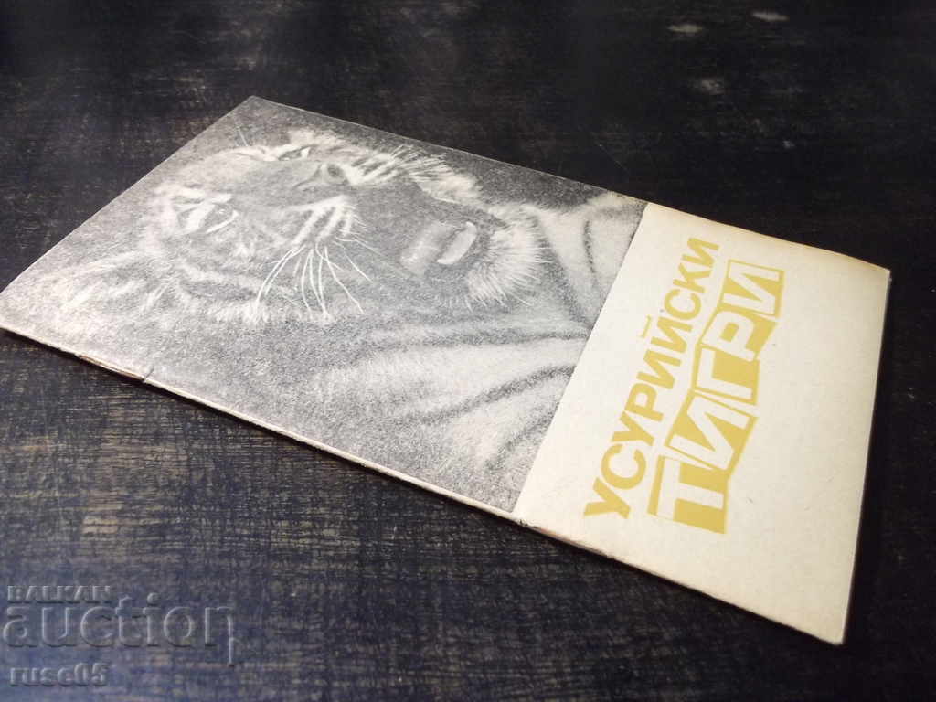 Book "Ussuri tigers - Igor Blagovidov" - 30 p. - 7 Book "Ussuri tigers - Igor Blagovidov" - 30 p. - 7