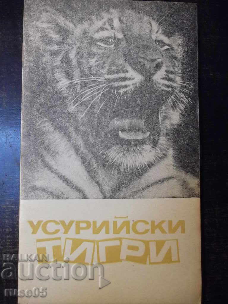Cartea „Tigrii Ussuri - Igor Blagovidov” - 30 p.