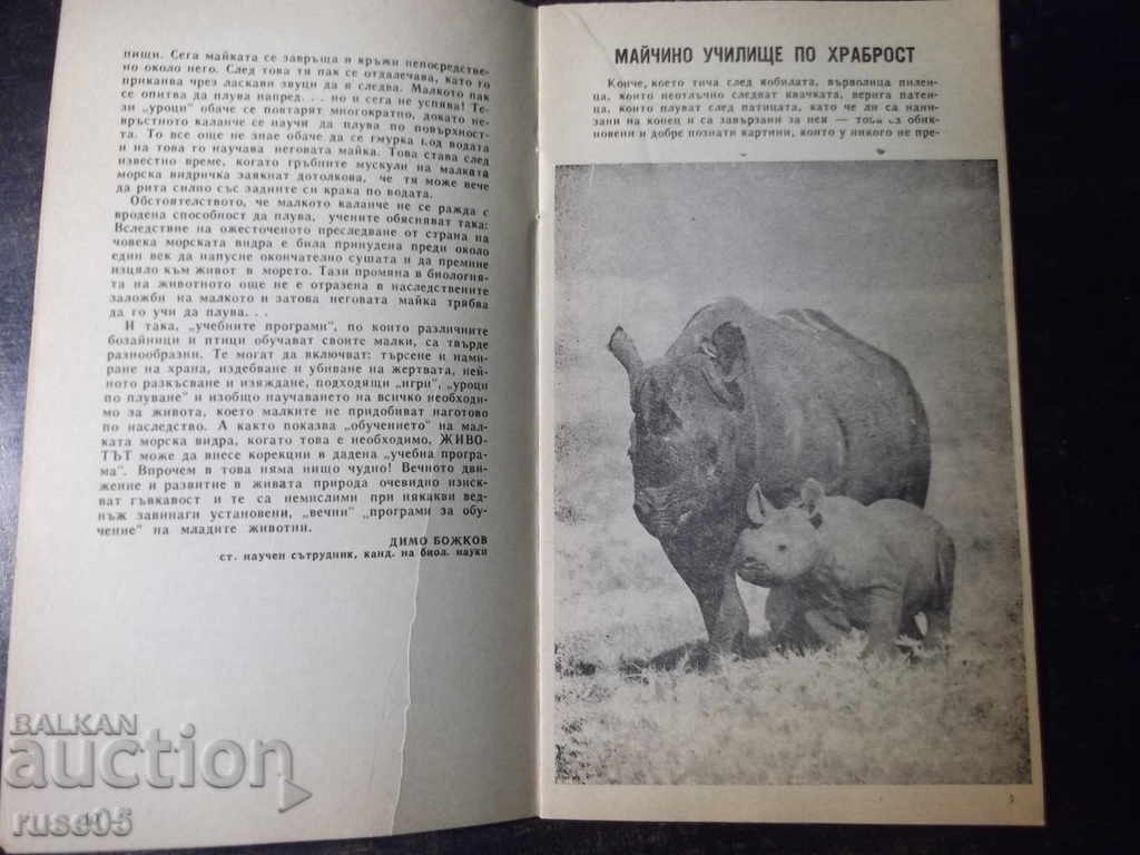 Auction Book "Animals in first grade - Dimo Bozhkov" - 30 p. Auction Book "Animals in first grade - Dimo Bozhkov" - 30 p.