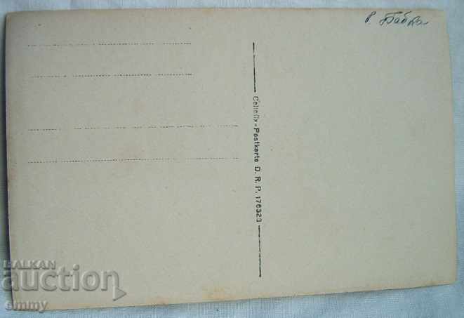 Auction Old photo of buffaloes and cows, Babka / Baba peak Auction Old photo of buffaloes and cows, Babka / Baba peak