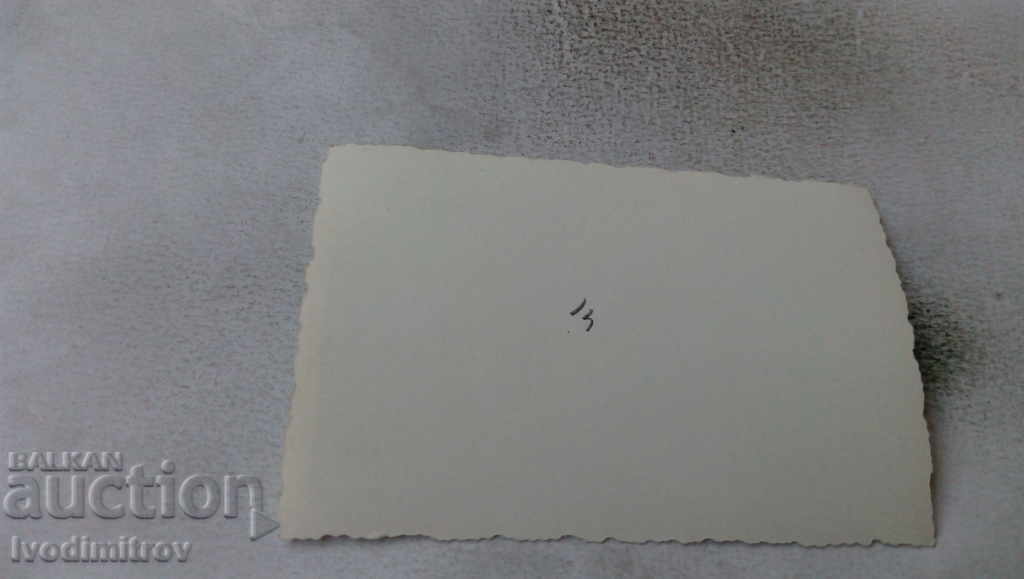 Photo Horse cart with price 1.65 BGN | € 0.84 Photo Horse cart with price 1.65 BGN | € 0.84