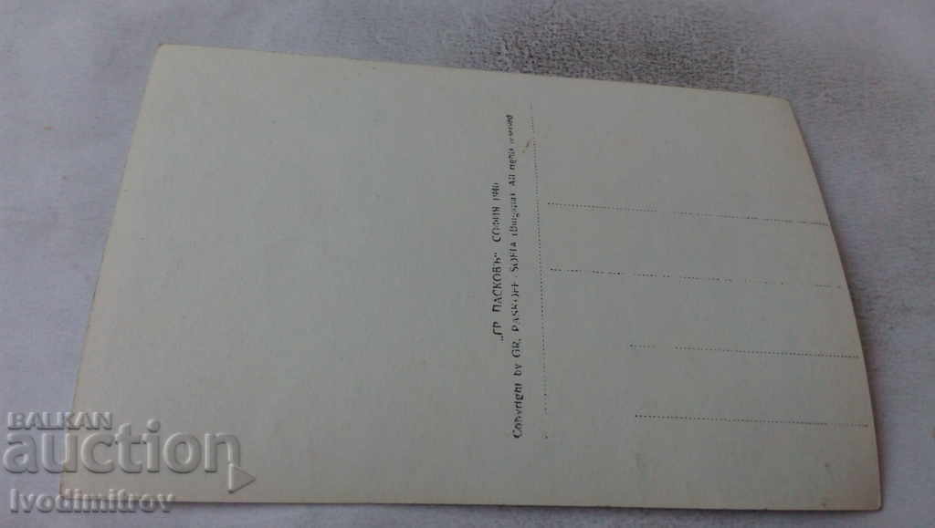 Postcard Varna Water lilies in the river Kamchia 1940 with price 3.45 BGN | € 1.76 Postcard Varna Water lilies in the river Kamchia 1940 with price 3.45 BGN | € 1.76