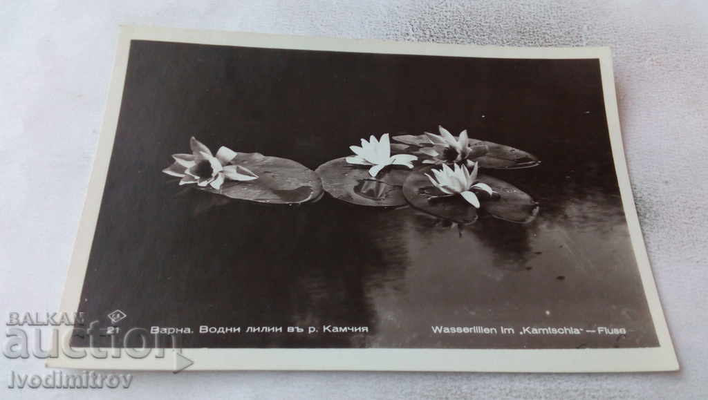 Пощенска картичка Варна Водни лилии в река Камчия 1940