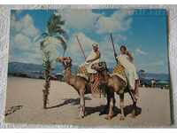 SUNNY BEACH CAMELI BEACH 1965 P.K.