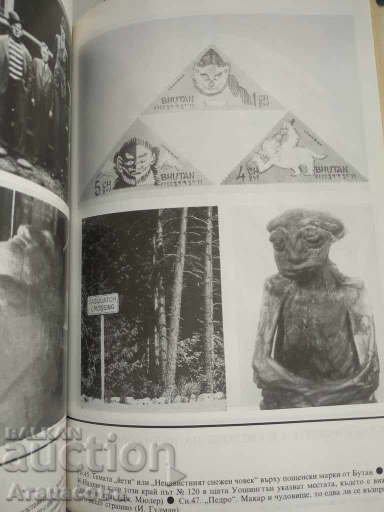 A New Study of Big Puzzles - 5 A New Study of Big Puzzles - 5