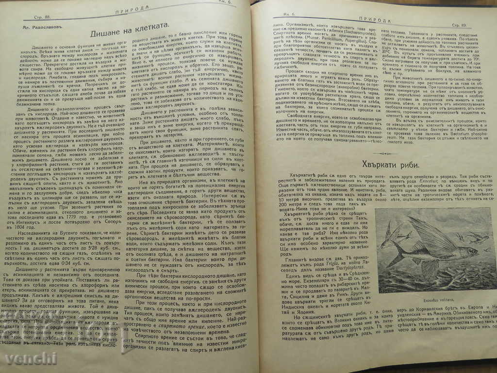 1928 - MAGAZINE OF NATURE - FROM 2 TO 10 ISSUES - 6 1928 - MAGAZINE OF NATURE - FROM 2 TO 10 ISSUES - 6
