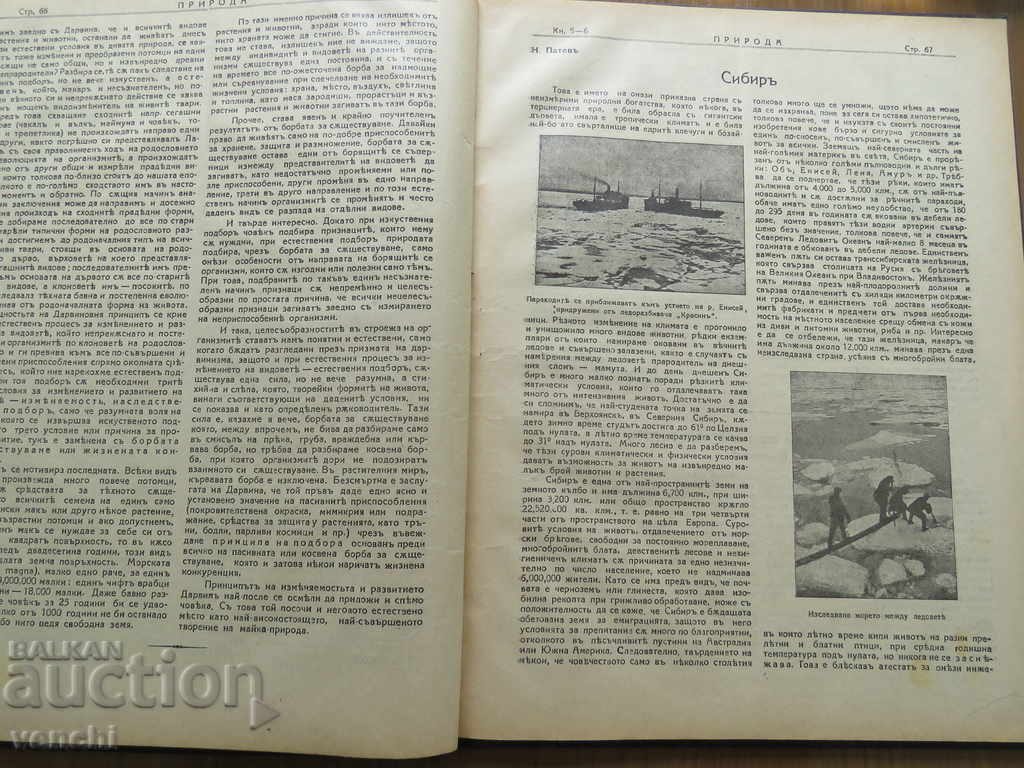 1929 - MAGAZINE OF NATURE - FROM 1 TO 10 ISSUES - 6 1929 - MAGAZINE OF NATURE - FROM 1 TO 10 ISSUES - 6
