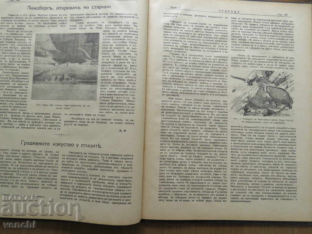 1929 - MAGAZINE OF NATURE - FROM 1 TO 10 ISSUES - 7 1929 - MAGAZINE OF NATURE - FROM 1 TO 10 ISSUES - 7