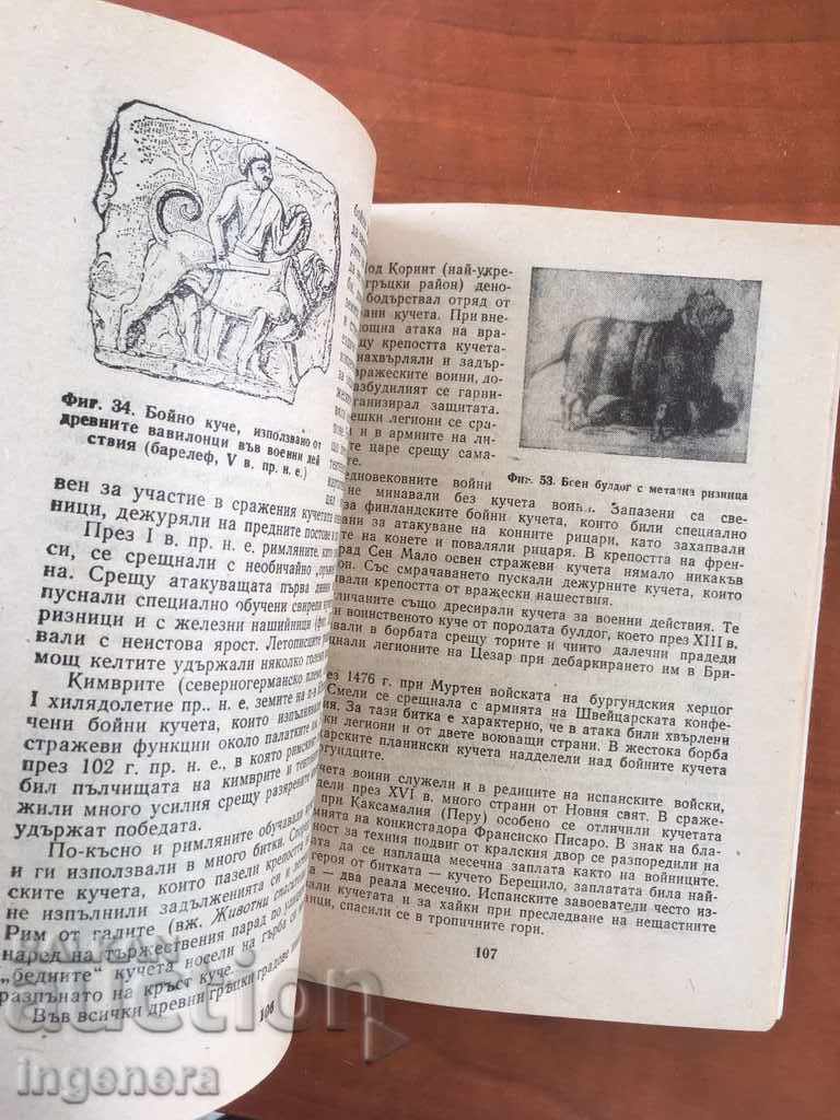 BOOK - VESELIN DENKOV - ANIMALS WITH PROFESSIONS-1988 - 5