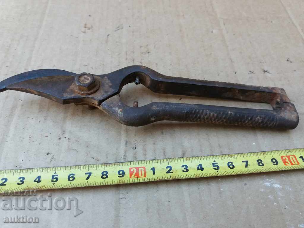 Delivery of STOMANIZED VINEYARD SCISSORS Delivery of STOMANIZED VINEYARD SCISSORS