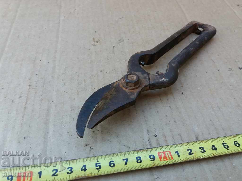 STOMANIZED VINEYARD SCISSORS - 5 STOMANIZED VINEYARD SCISSORS - 5