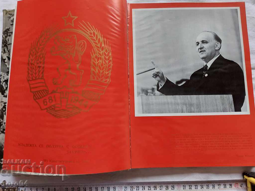 Auction  BULGARIA - COUNTRY OF YOUTH