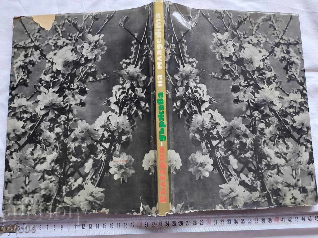 BULGARIA - COUNTRY OF YOUTH