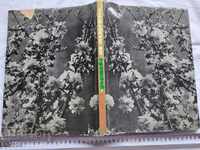 BULGARIA - ȚARA TINERETULUI