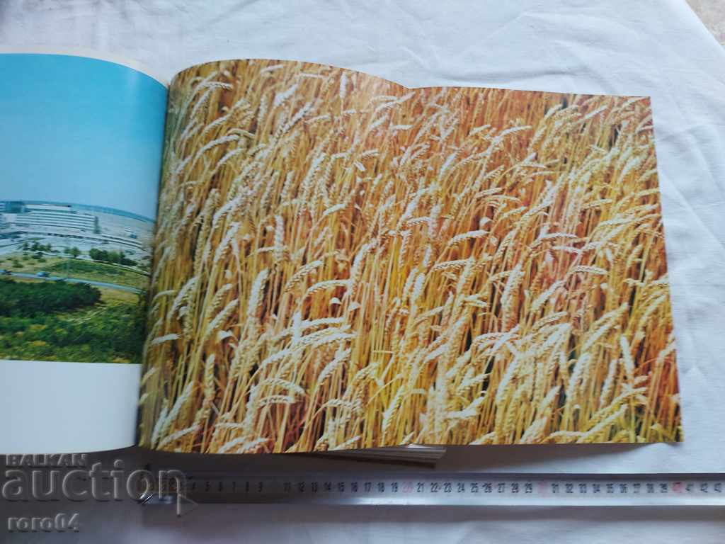 Παράδοση ΜΟΝΟ Ο ΟΥΡΑΝΟΣ ΕΙΝΑΙ ΠΑΛΙΟΣ ΕΔΩ Παράδοση ΜΟΝΟ Ο ΟΥΡΑΝΟΣ ΕΙΝΑΙ ΠΑΛΙΟΣ ΕΔΩ