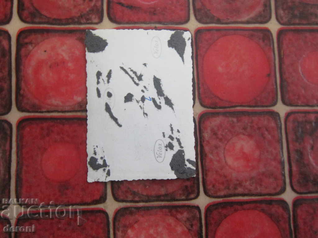 Delivery of Postcard photo German soldier 3 Reich A25 Original Delivery of Postcard photo German soldier 3 Reich A25 Original