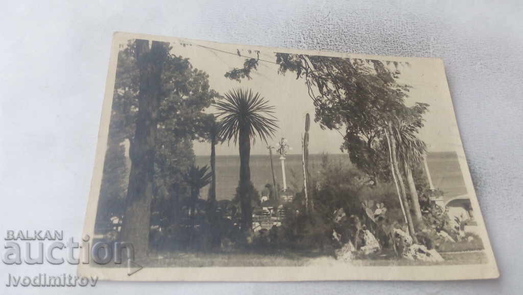 Postcard Varna Sea Garden 1952